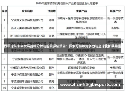 西甲球队未来发展战略分析与前景评估报告：探索可持续竞争力与全球化扩展路径