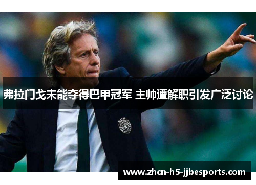 弗拉门戈未能夺得巴甲冠军 主帅遭解职引发广泛讨论 弗拉门戈未能夺得巴甲冠军 主帅遭解职引发广泛讨论
